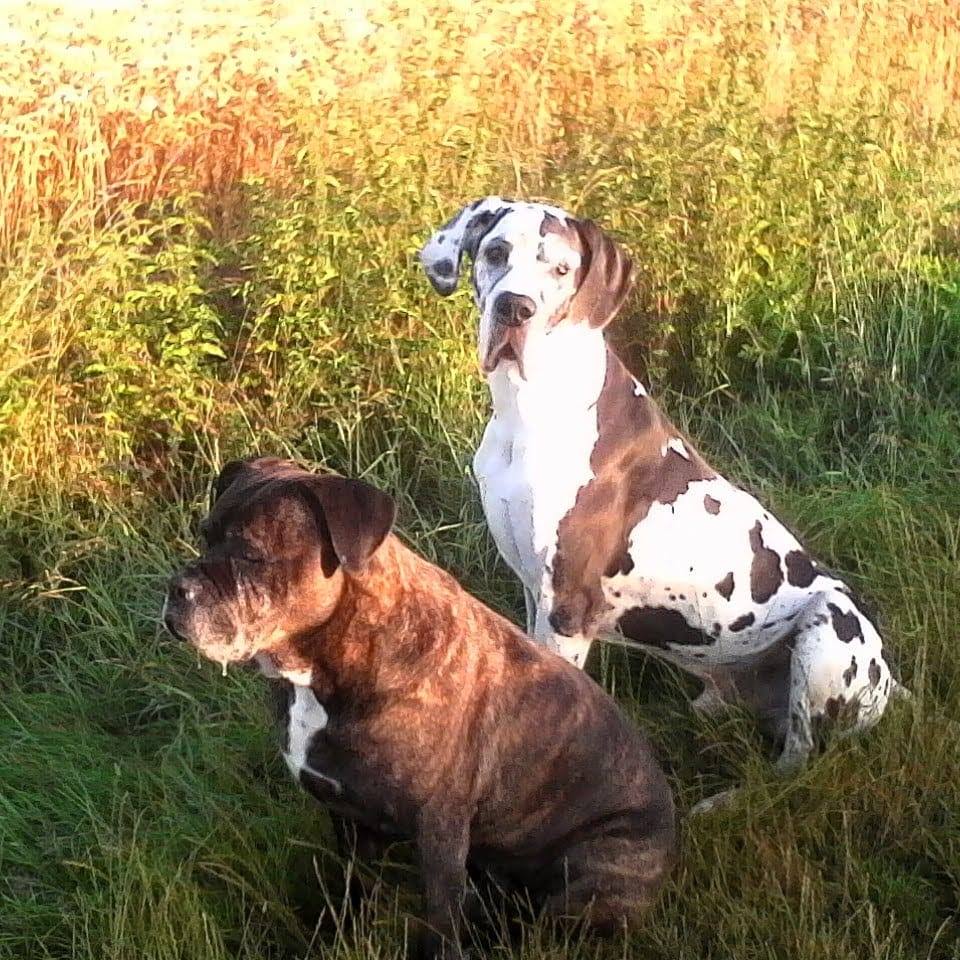 Avis client Bertrand Gimenez