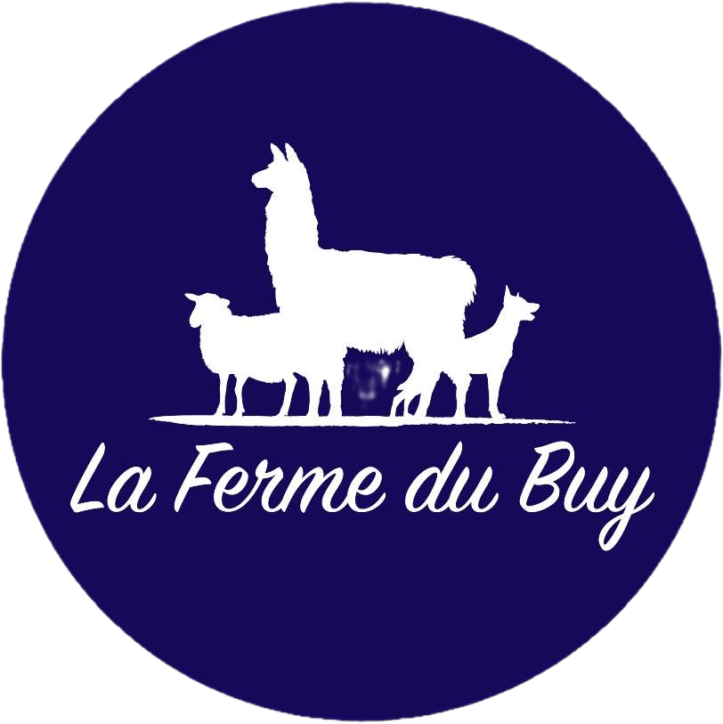 Avis client Casa Rocamadour