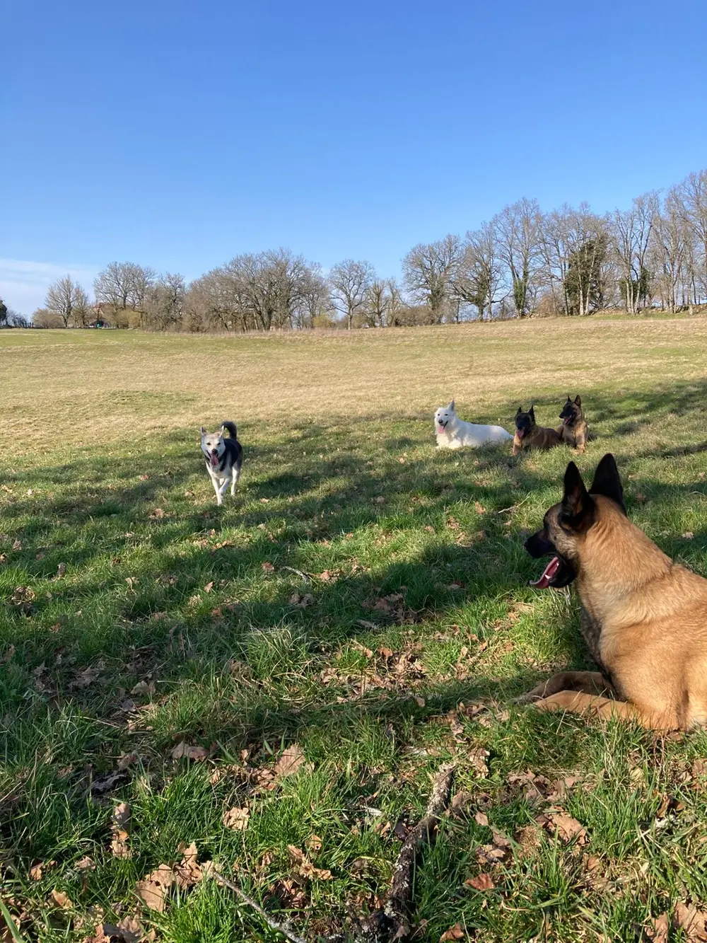 La Ferme du Buy - Domaine de 100 hectares dédié au bien-être animal dans le Lot