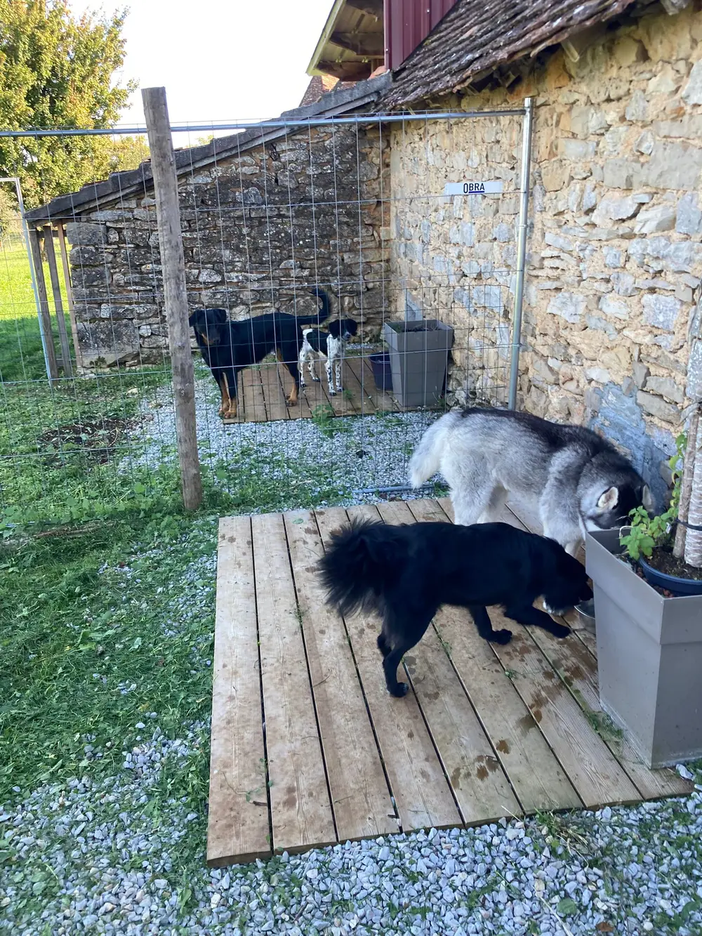 Dressage au troupeau La Ferme du Buy - Séances d'initiation pour chiens de berger
