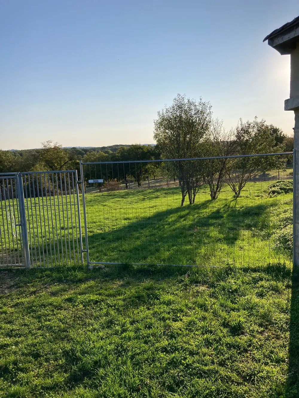 La Ferme du Buy - Chien de petit gabarit accueilli avec le même soin que les grands