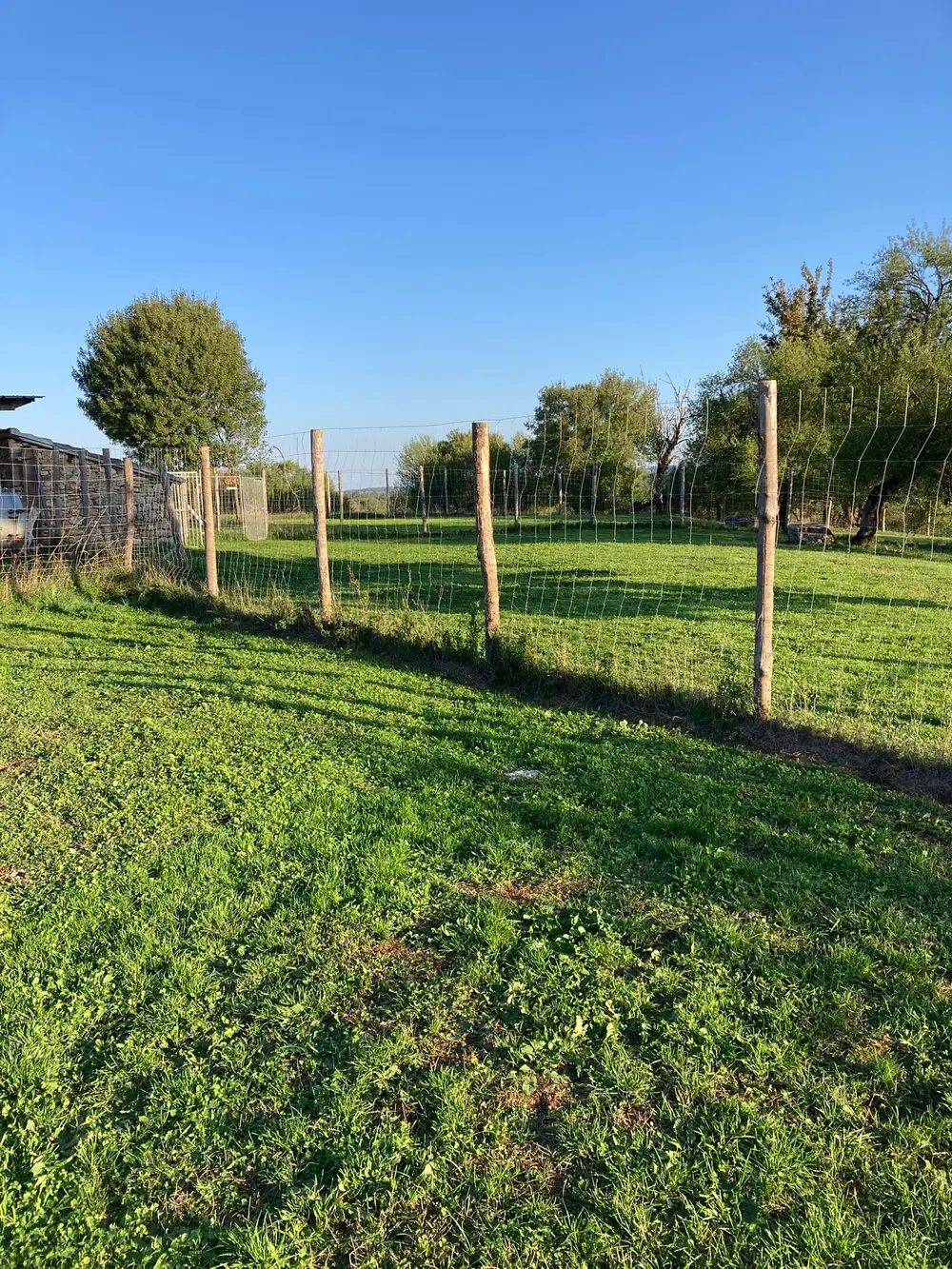 La Ferme du Buy - Séances d'éducation canine personnalisées sur le domaine du Lot