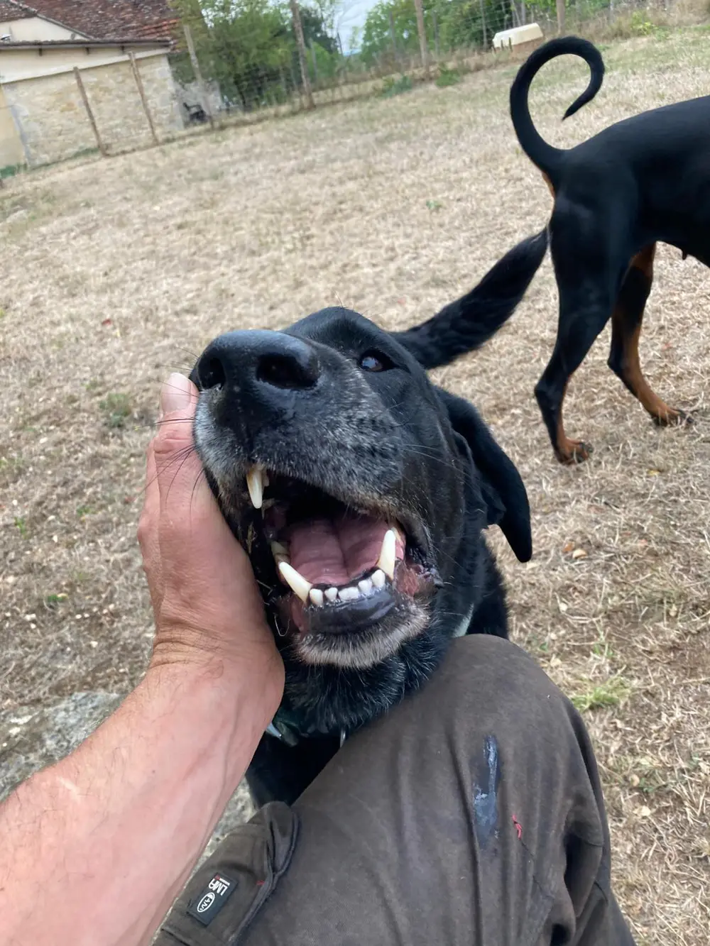 La Ferme du Buy - Patrimoine naturel du Lot comme terrain d'éducation et de jeux