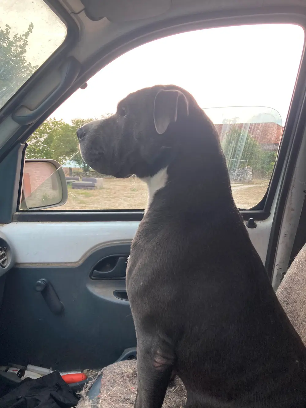 Dressage au troupeau La Ferme du Buy - Contact avec les animaux de la ferme