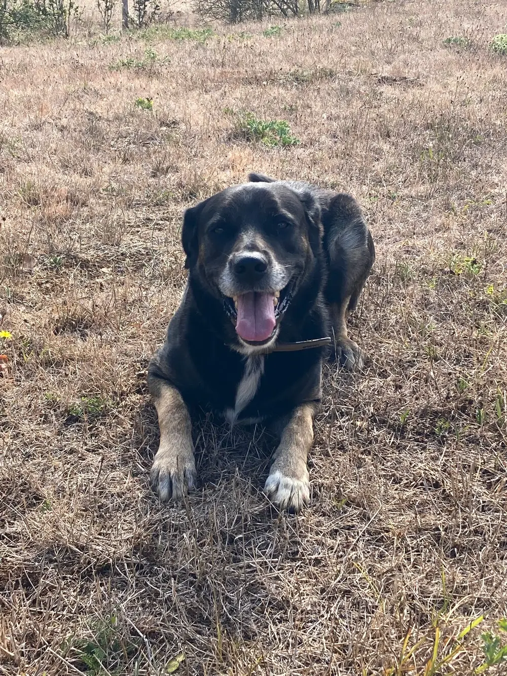La Ferme du Buy - Enclos spacieux et propres pour chaque pensionnaire