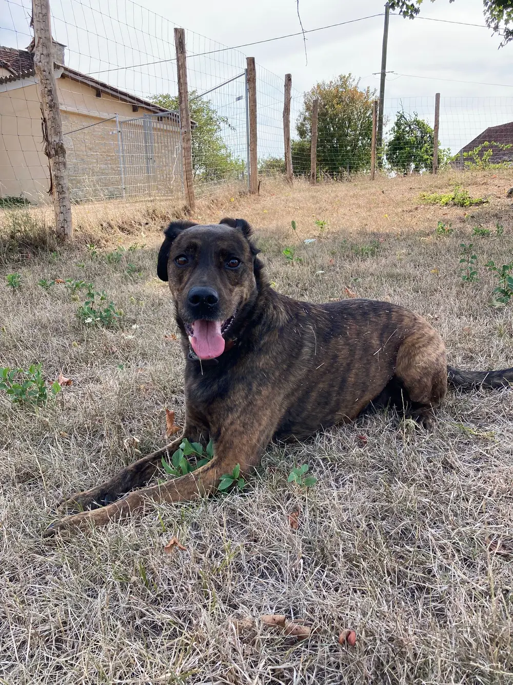 La Ferme du Buy - Forêts et prairies du Lot pour des promenades ressourçantes