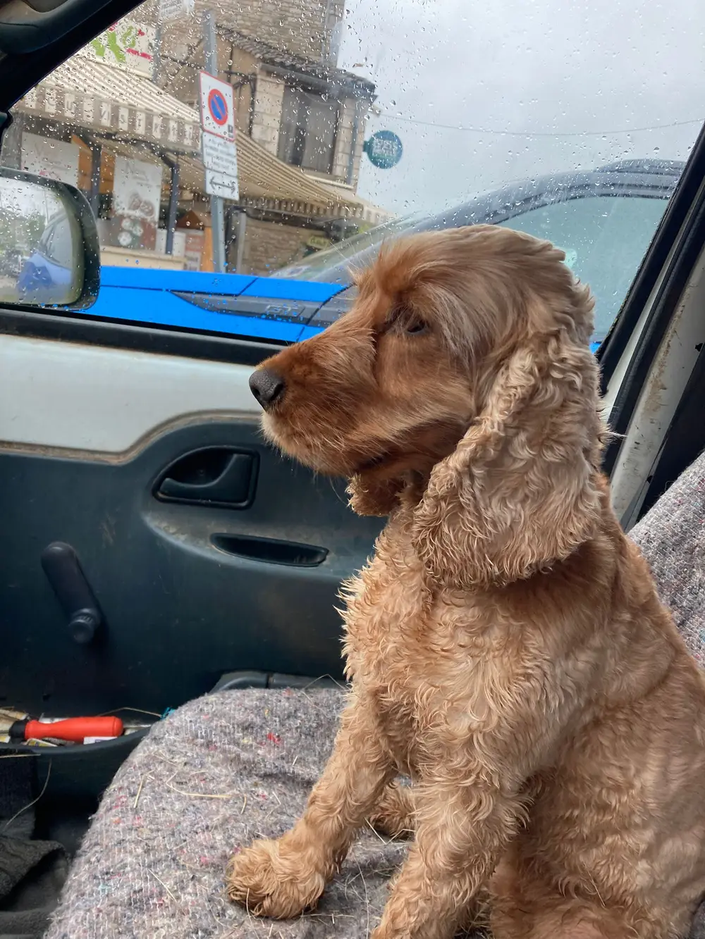 Pension canine La Ferme du Buy - Tarifs transparents sans mauvaise surprise