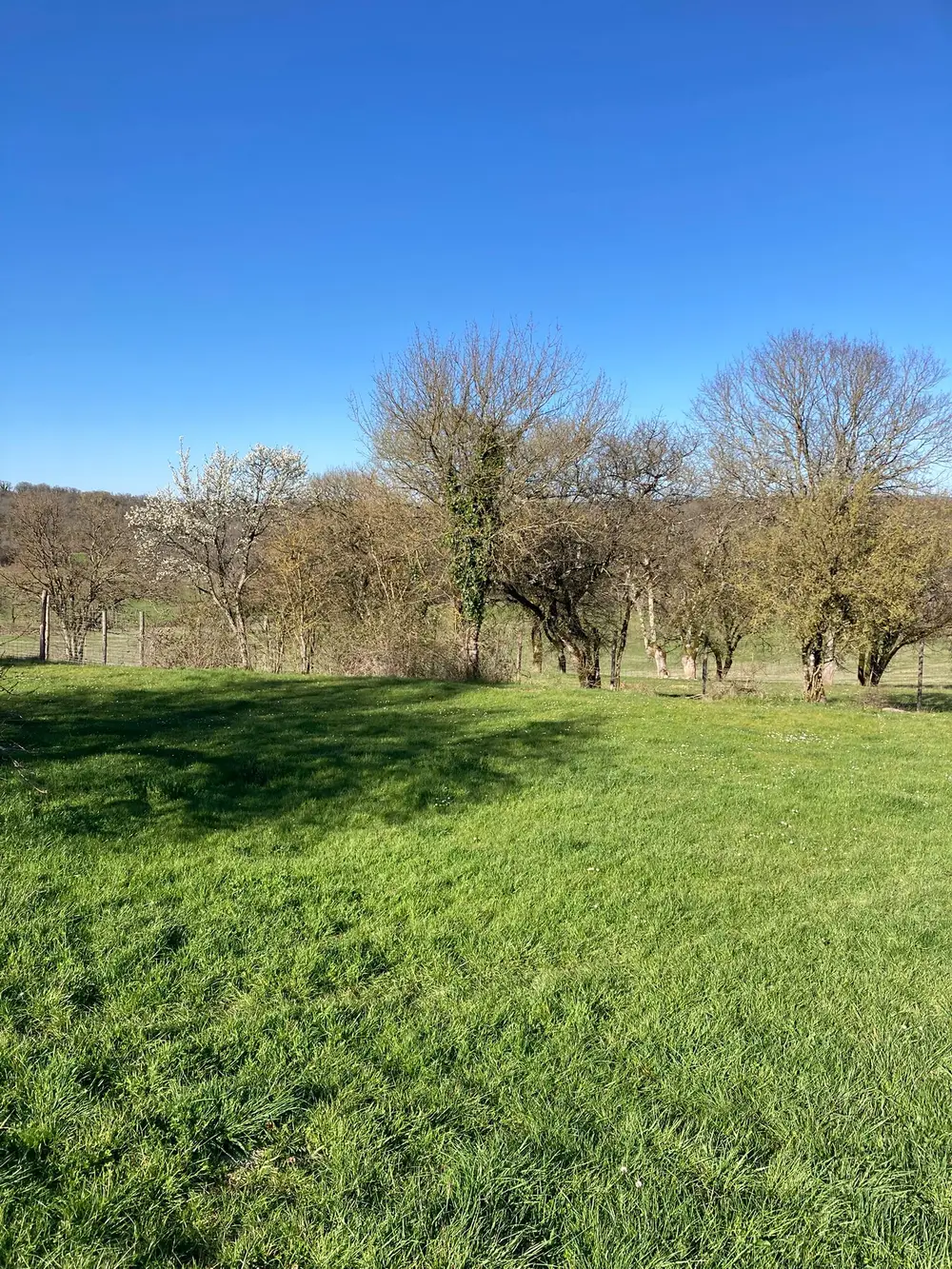 La Ferme du Buy - Espaces naturels à perte de vue pour les pensionnaires