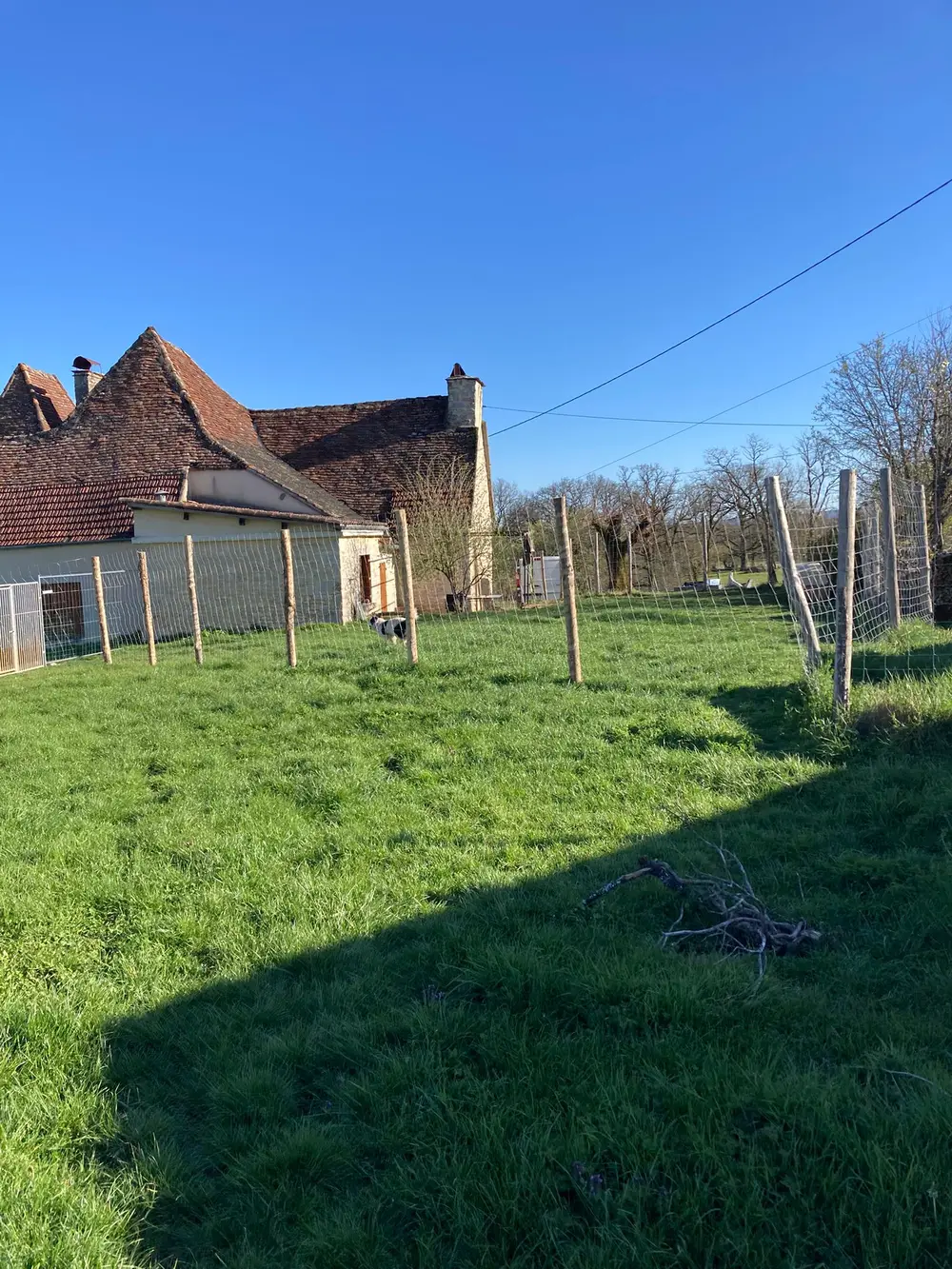 Dressage professionnel La Ferme du Buy - Chien rappelé même à grande distance
