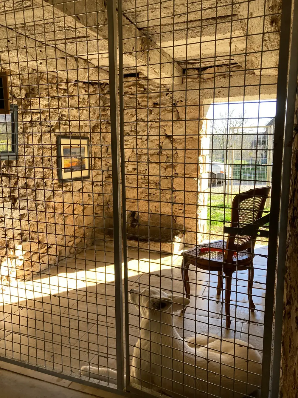 La Ferme du Buy - Flore et faune du Lot comme source de stimulation sensorielle