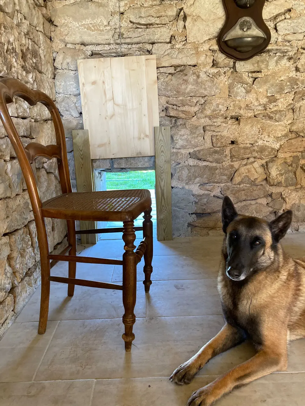 Pension canine La Ferme du Buy - Accueil sur réservation toute l'année