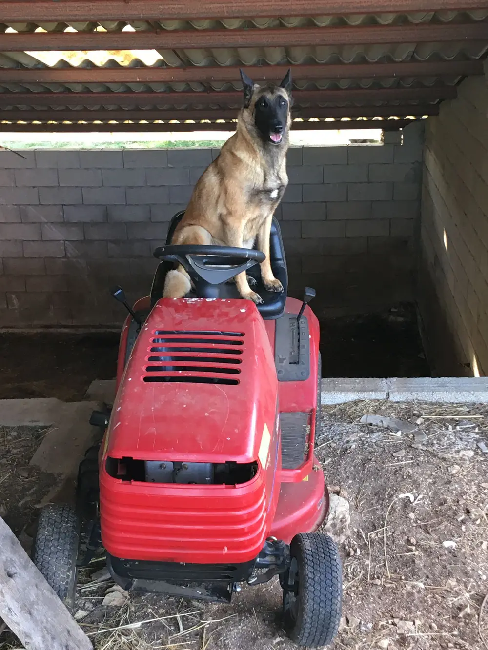 Pension canine La Ferme du Buy - Références disponibles auprès de clients satisfaits