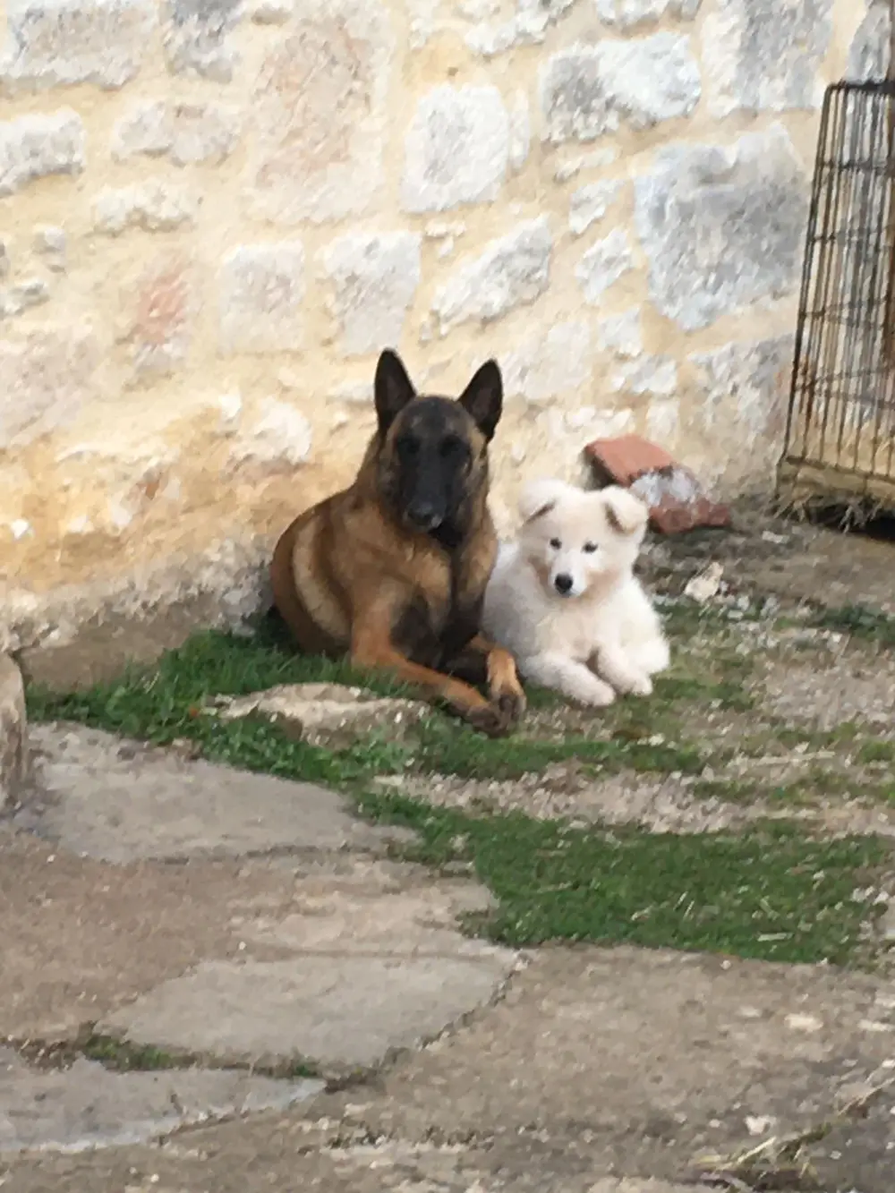 La Ferme du Buy - Terrain varié collines et vallées pour un exercice complet