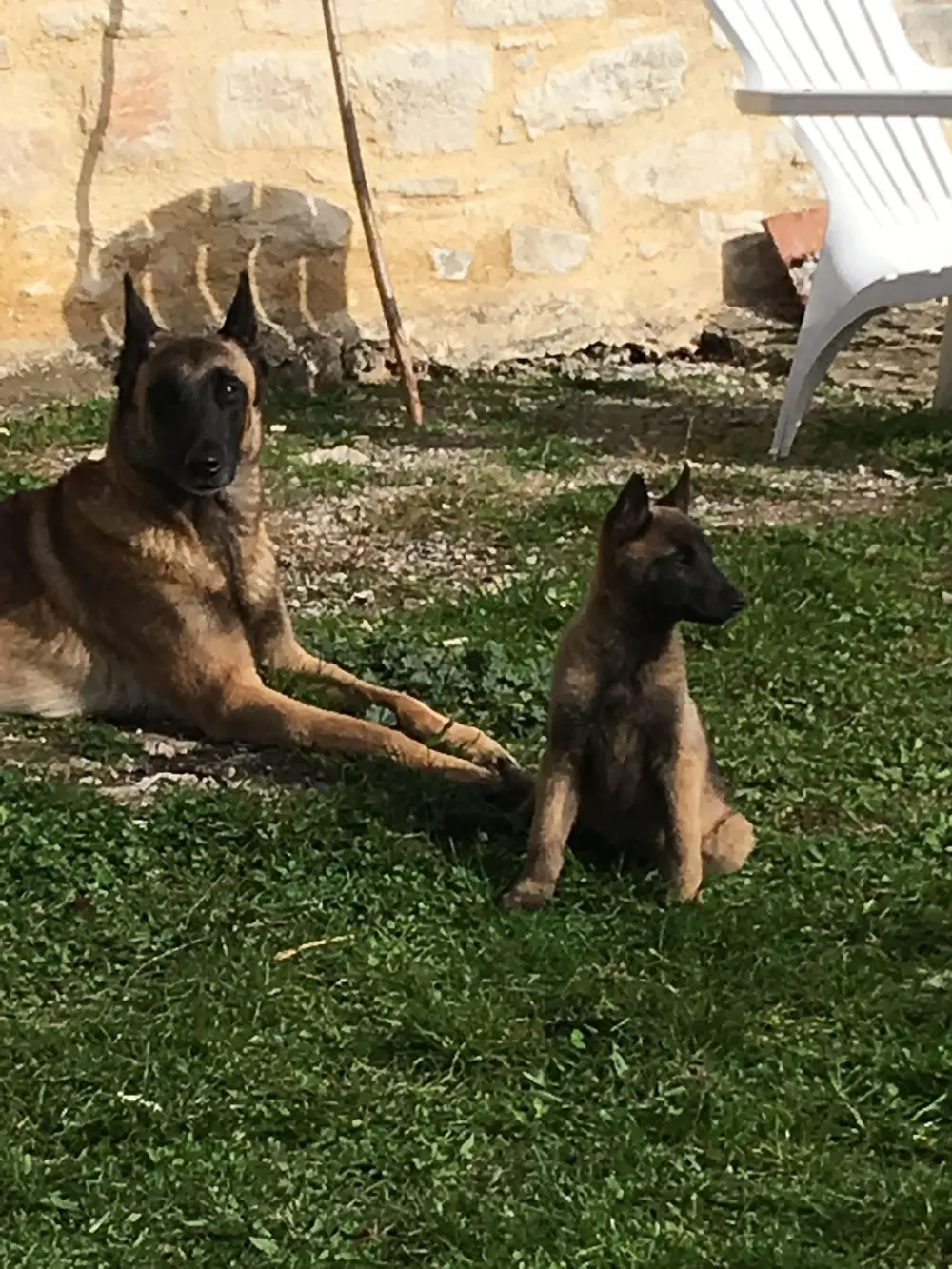 La Ferme du Buy - Votre chien entre de bonnes mains dans le Lot